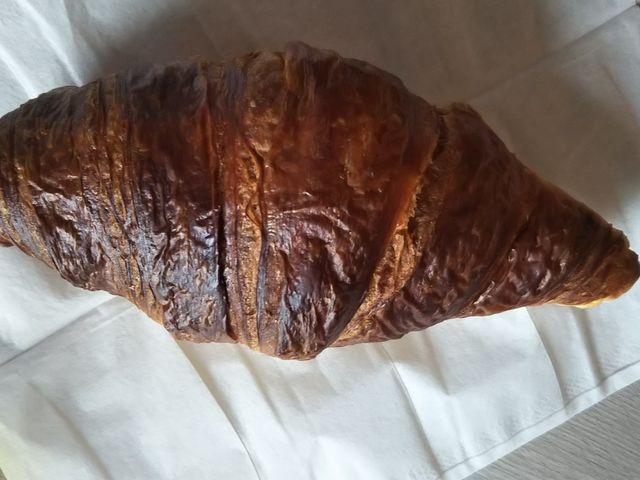 �N�����b�T��160�~�B���H�ɂ��B_�z�n��O�s��