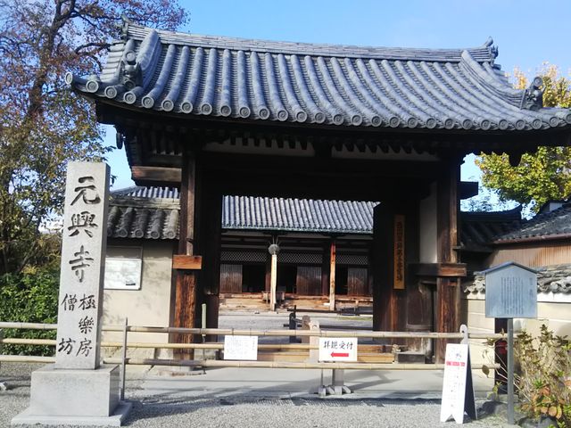 ������_�������{��