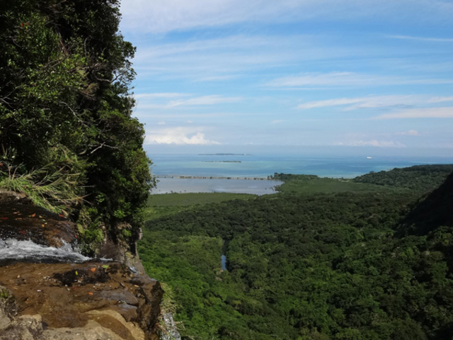 �s�i�C�T�[���̑��_���h����₩���@�厩�R�N���u