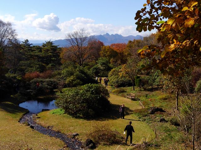 �S���t��݂��������ǁA�����ɐY���R�������܂���[�B_�ԏ鎩�R��