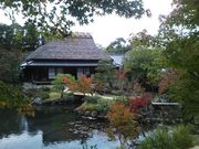 ۂ΂񂳂̖ːEJypق̓eʐ^2