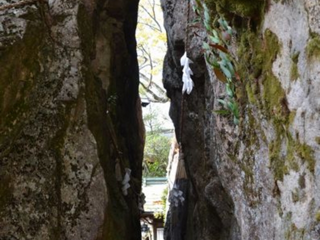 SlʂƋ܂邻łB_YV{