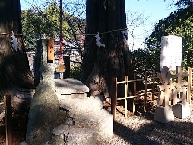 �����ׂ̗ɂ͕v�w�w������܂�_���Y�_�Ђ̔�O����