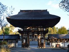 ����������񂳂�̍����M�_�Ђւ̓��e�ʐ^1