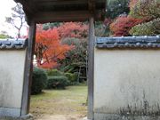 ނ炳񂳂̍sƏZ̓eʐ^5