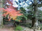 ނ炳񂳂̍sƏZ̓eʐ^6