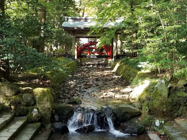 �i�F����C���ǂ��āA�S������܂����B_�\�F�_��