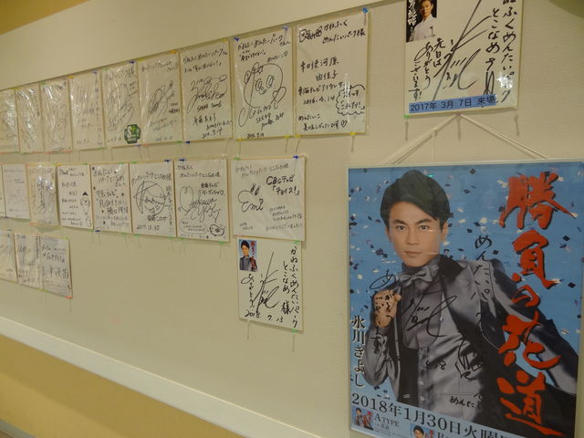 ʘHɂ͗Ll̐Fς_߂񂽂p[NƂȂ