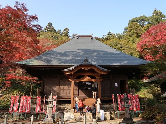 �g�t�̖{��_�L���̂��݂��� ���厛