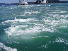 ���g��������̂��������ϒ��D�ւ̓��e�ʐ^1