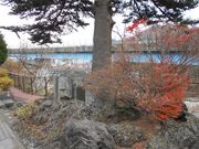 �g�V���[����̋g��E�̔�̓��e�ʐ^1