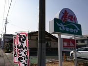 manahime̒YĂXg₩ ֓c{X̓eʐ^1