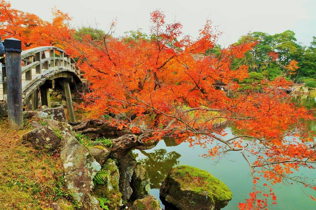 この秋カップルで行きたい 関西 デートにおすすめの紅葉スポット 観光地28選 3 じゃらんnet