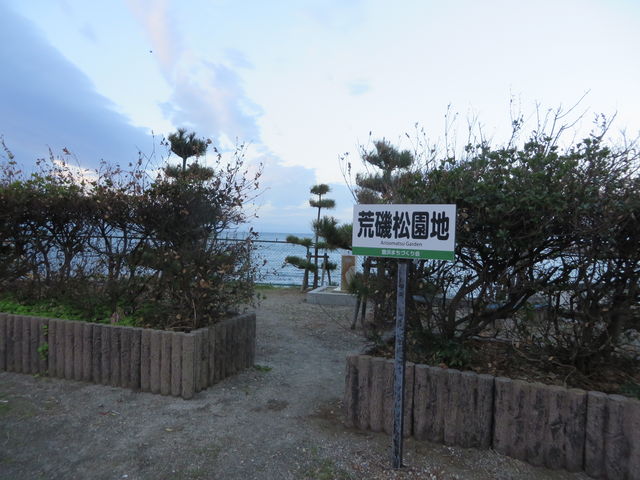 Ԃ񂳂̍r鏼n̓eʐ^2