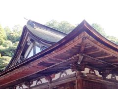 こぼらさんの西明寺本堂への投稿写真1