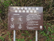 Ԃ񂳂̉H_Ђ̎Бp̓eʐ^1