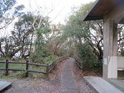 Ԃ񂳂̉H_Ђ̎Бp̓eʐ^2