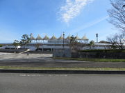 Ԃ񂳂̔c҂惍OX|[cp[N̓eʐ^3