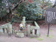 Ԃ񂳂̐DcMF̓̕eʐ^2