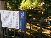 sana����̑���a���̕�̓��e�ʐ^1