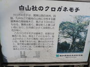 Ԃ񂳂̔RЂ̃NKl`̓eʐ^1