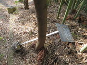 Ԃ񂳂̔RЂ̃NKl`̓eʐ^2