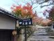 こぼらさんの不断桜　西明寺への投稿写真3
