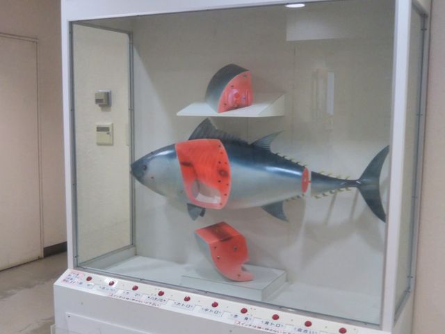 �w�O��`�̂܂���x�B_�O��`