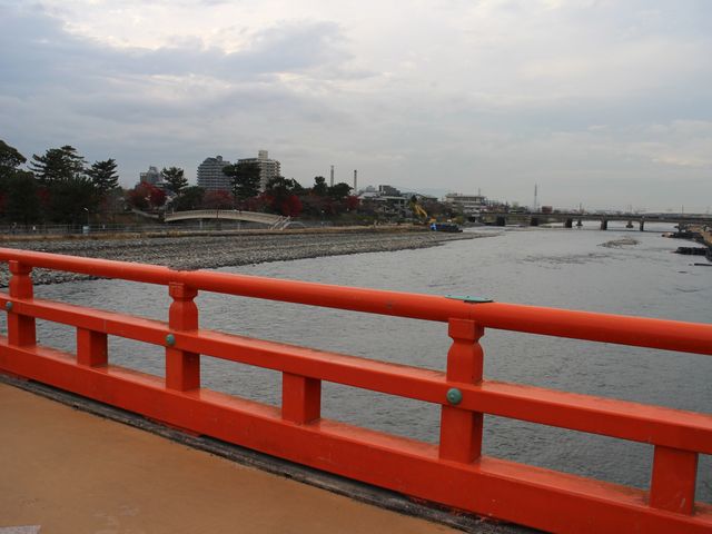 ������_�F����i��ނ�j