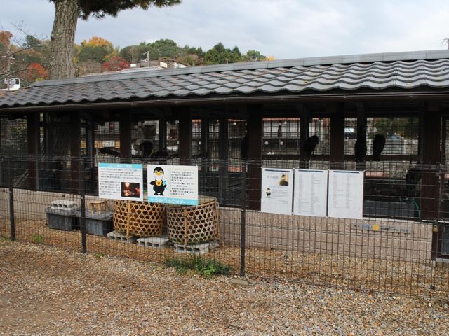 �L���̉L�������Ă��܂�_�F����i��ނ�j