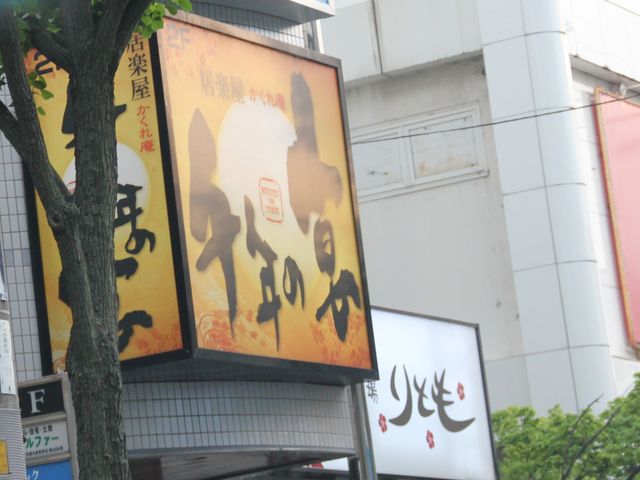 Gh̋y  N̉  ɔVwOX̓eʐ^1