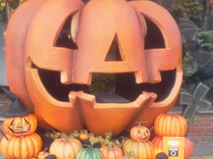 JoeBlack̏M@mَq܁@^Iւ̓eʐ^1