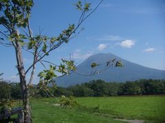 JoeBlack̍qjZR~NH[ւ̓eʐ^1