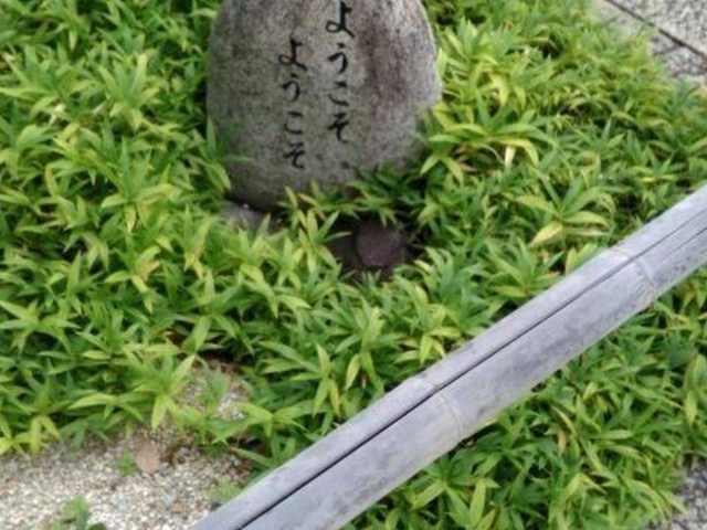 �V���P�Q����2��ڂ̖K������܂����B

�O��́A�S���ɐq�˂܂����B_�l���R ���Ǝ�