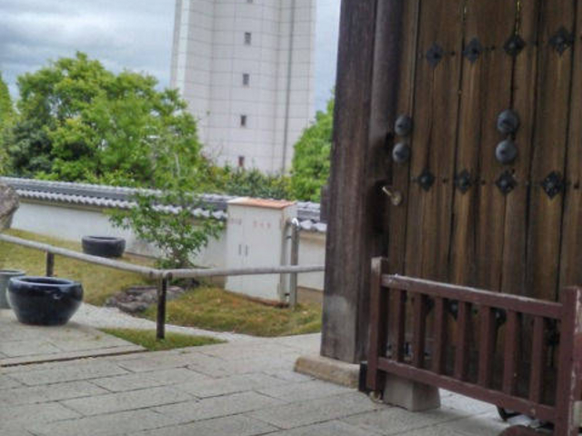 �u���ΓV���Ȋw�فv�������܂��B_�l���R ���Ǝ�