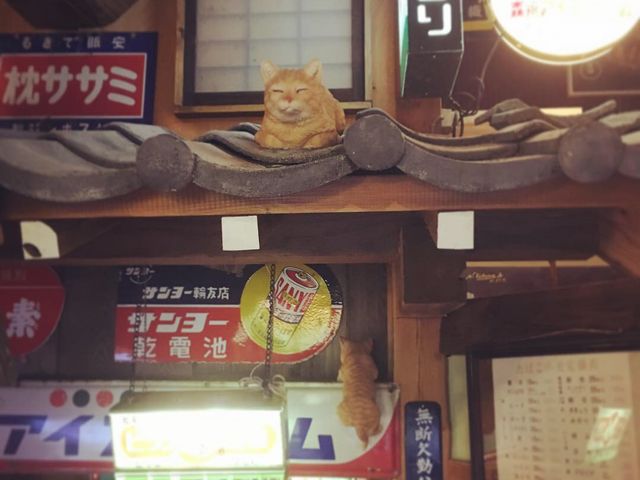 �Ƃ���ǂ���ɂ���L������_��ˍ��R���g���~���[�W�A��