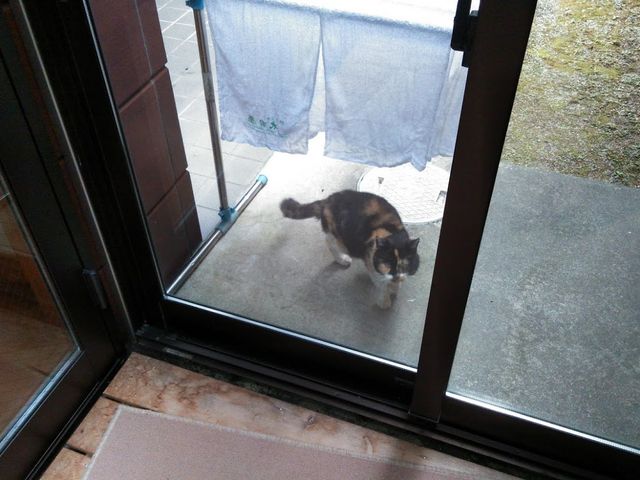 LBٓɂ``ƖĂ܂BJėǂ̂Ȃ̂ł߂B_xΉ@c