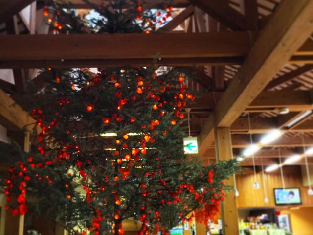 �c���[�̓��r�[�ɐݒu���Ă�̂ŁA���������Ƃ����w�\�B���ėǂ̓��Y�i���L�x�ɕ���ł��܂��B_���ėǉ���فu�䂽�`�Ɓv