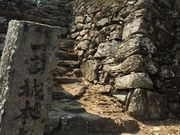 ǂ炦񂳂̈{隬isj̓eʐ^1