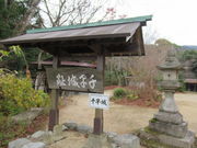 ����1962����̐瑁��Ղ̓��e�ʐ^2