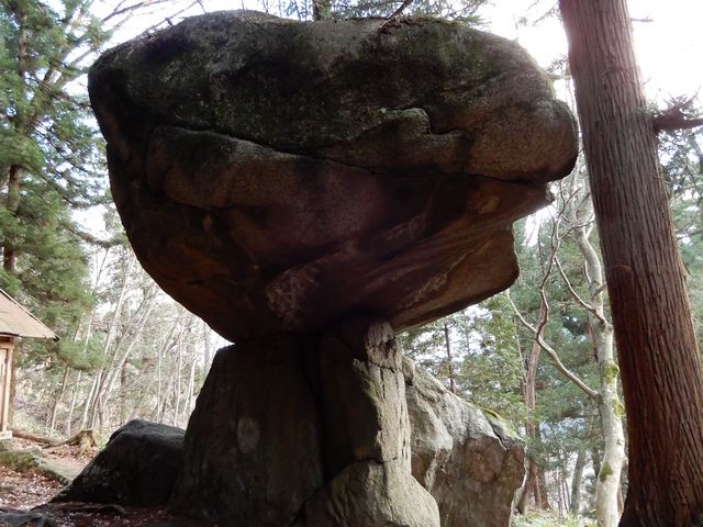 ����_����