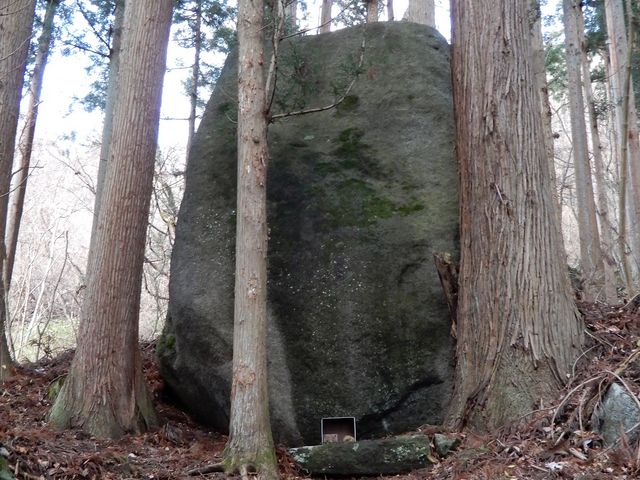 ���΁B�؂Ɉ����������ċ����Ă���̂ł��傤���B_����