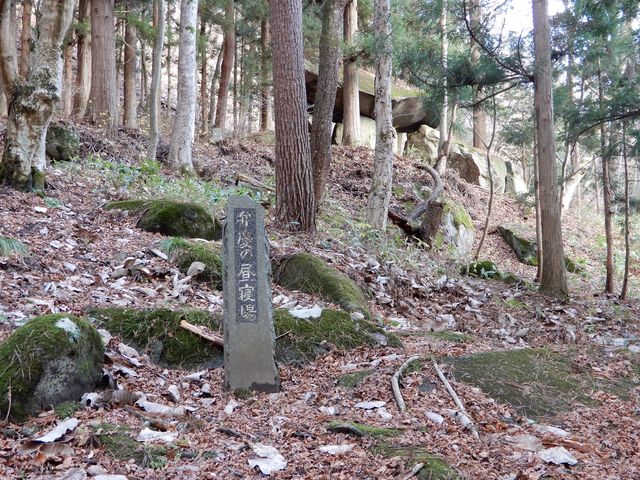 �ٌc�̒��Q��B�R�̎ΖʂȂ̂ɂȂ��������������R�ł��B_����