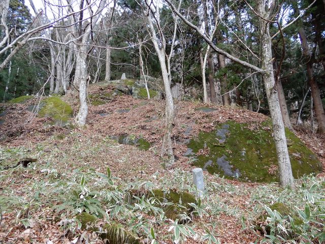 �s����B�قƂ�ǎR�Ȃ�ł����ǁB_����