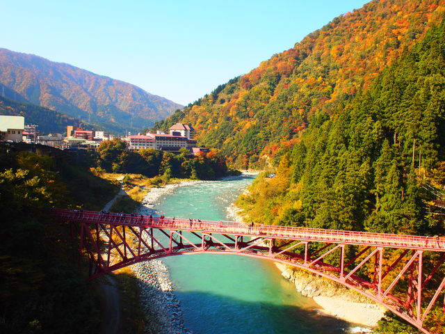 �����k�J_�R�F��