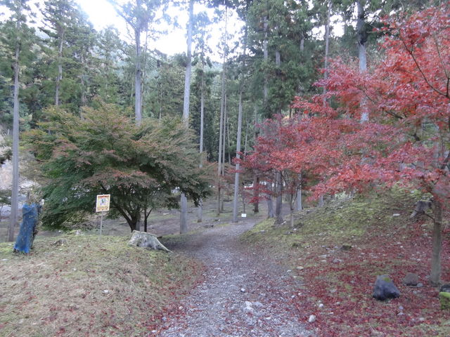 ��։���Ă����U���H_���ǋ�