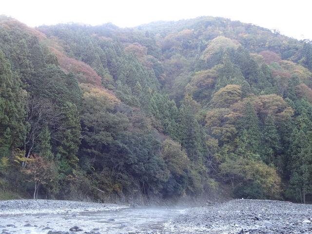 ��ɂ͐����C���オ��_���ǋ�