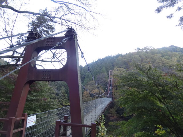 ���߂����݂苴_���ǋ�