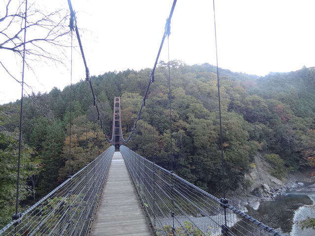 �݂苴�̕��͋���_���ǋ�