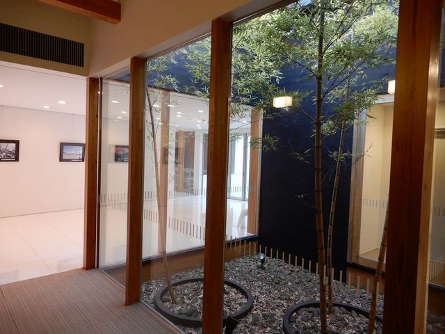 �ٓ��̓M�������[�̗l_���̓c����@�����ۗ{�{�݁u�����葑�v